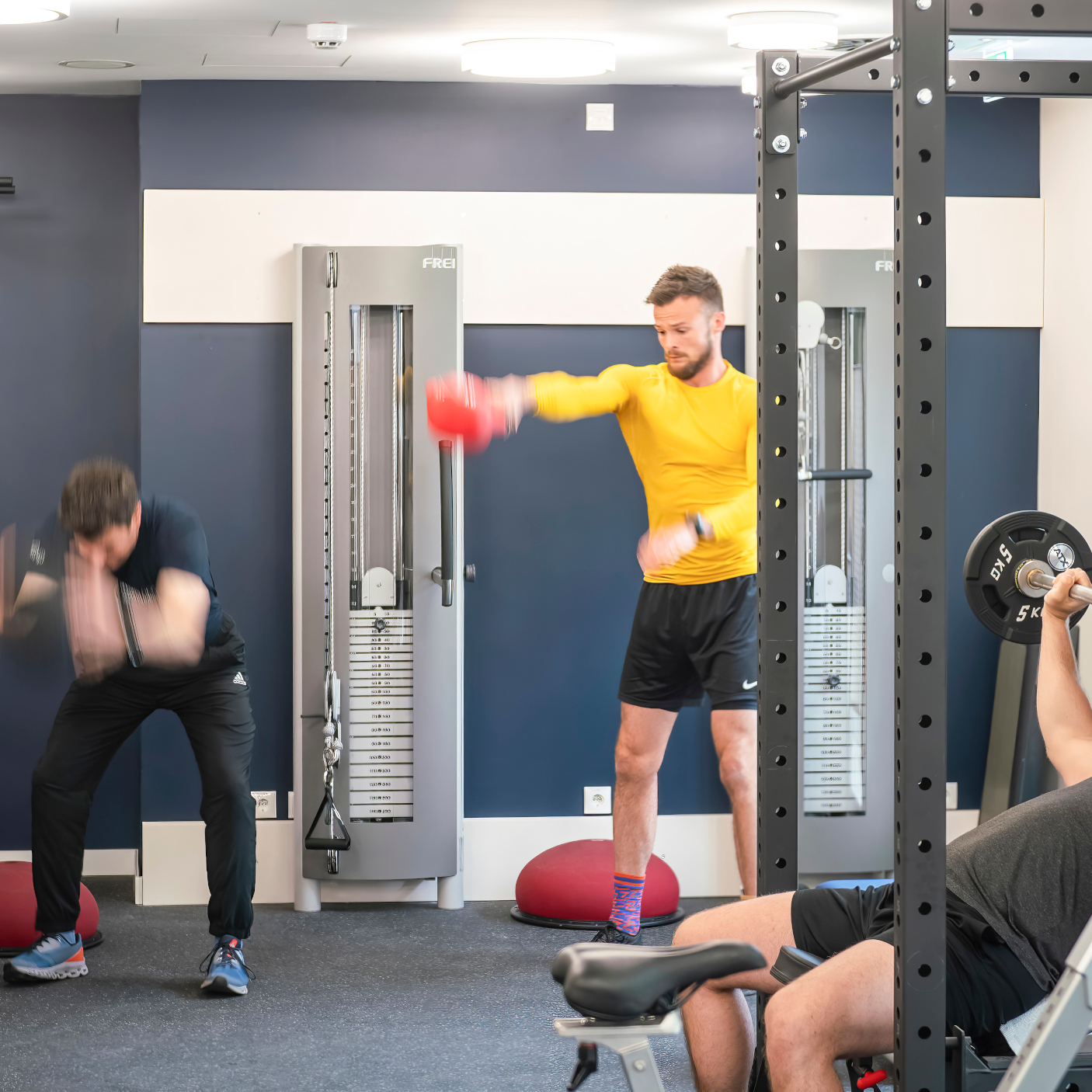 FitnessStuuv